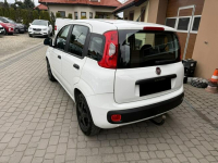 Fiat Panda !! Rezerwacja !! Orzech - zdjęcie 9