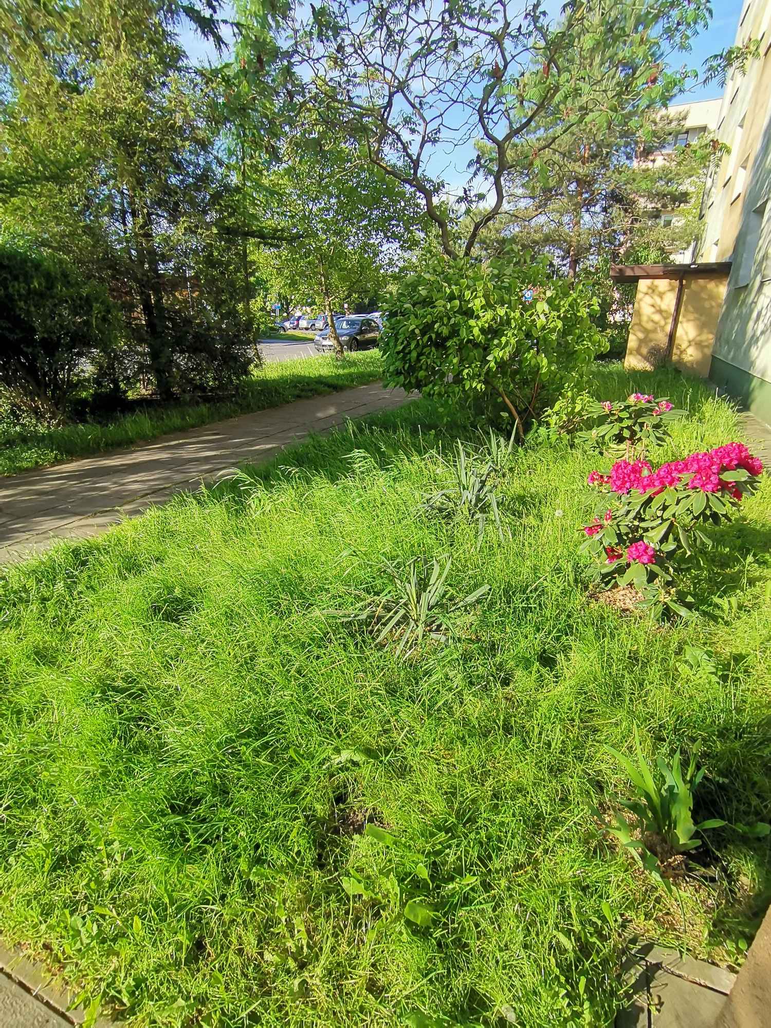 Wynajmę kawalerkę w Radomiu na osiedlu Ustronie-Prędocinek Radom - zdjęcie 9