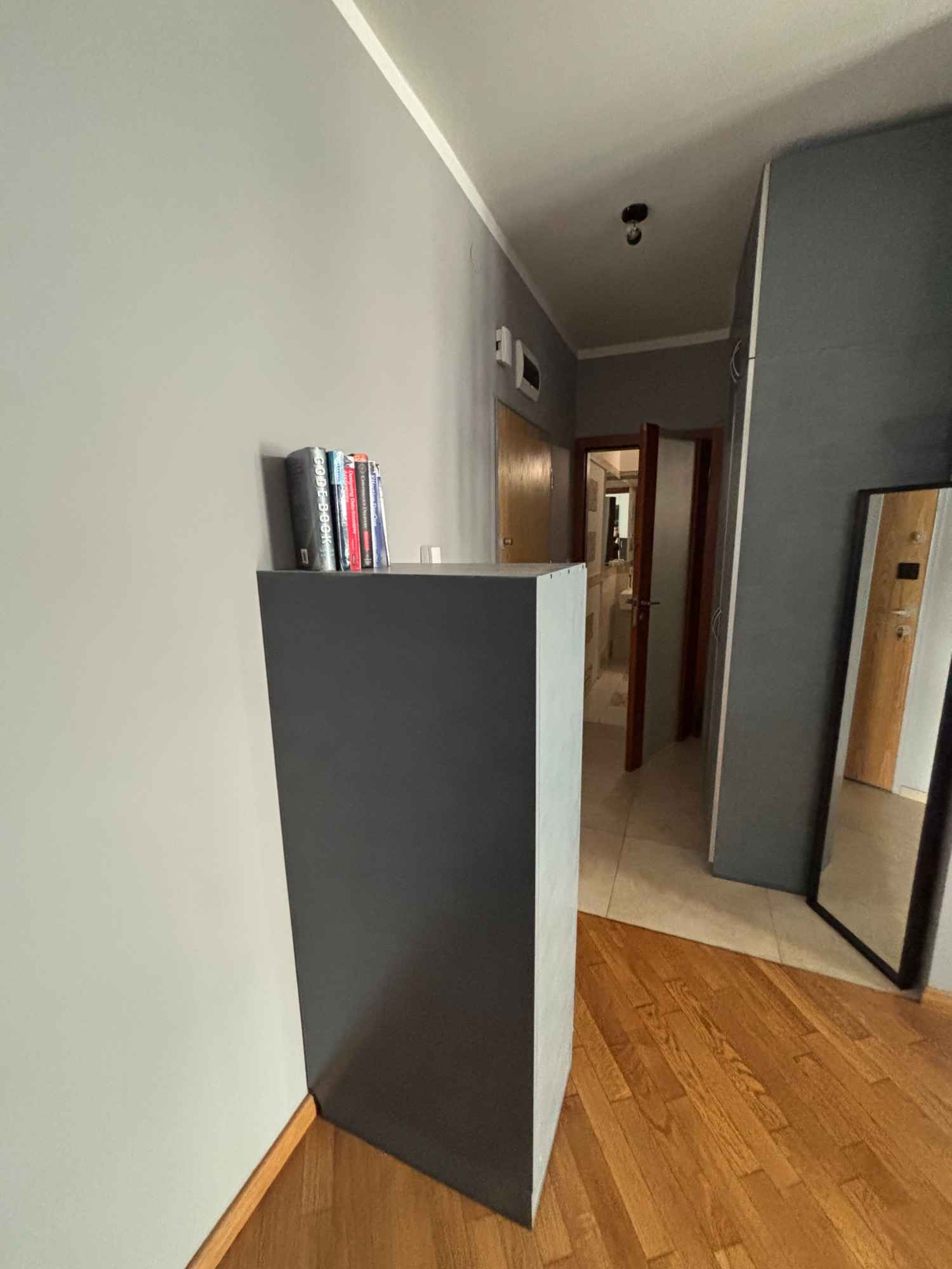 mieszkanie przy parku lotników Śródmieście - zdjęcie 9