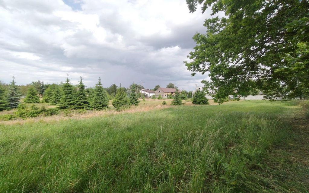 Działka z WZ blisko Nowego Tomyśla. Glinno - zdjęcie 5