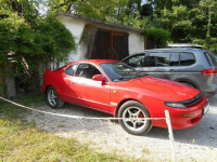 Celiica Wierzchucino - zdjęcie 11