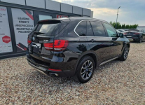 BMW X5 Ostrołęka - zdjęcie 7