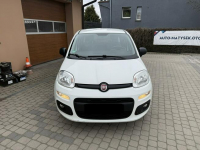 Fiat Panda !! Rezerwacja !! Orzech - zdjęcie 2