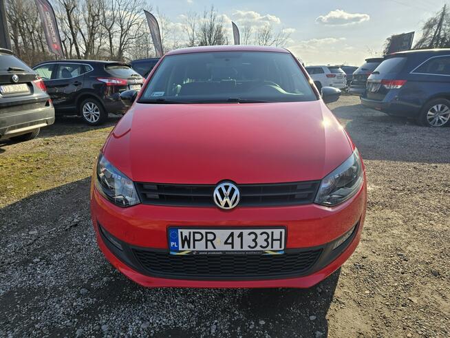 Volkswagen Polo Reguły - zdjęcie 6
