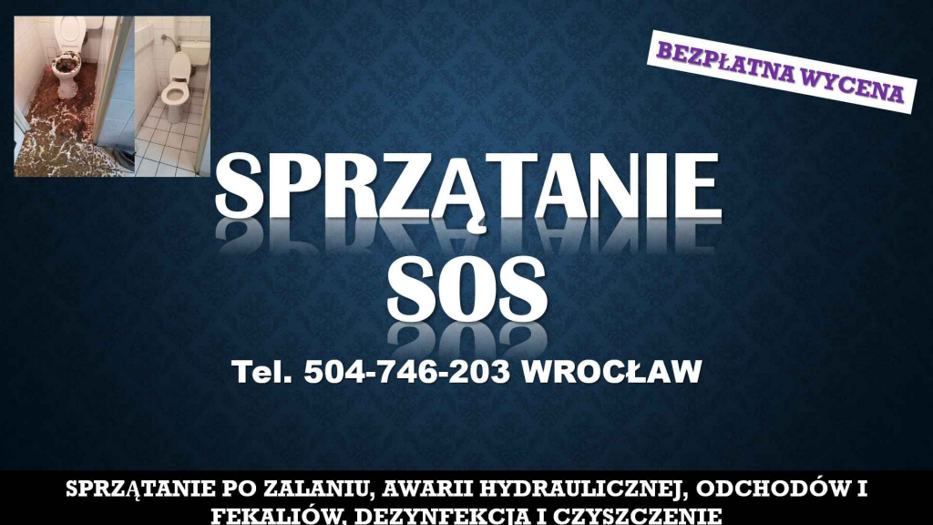 Sprzątanie fekaliów Wrocław, tel. 504-746-203. Po zalaniu kanalizacji, Psie Pole - zdjęcie 2