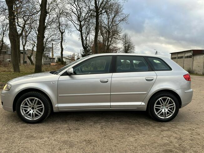 Audi A3 8P 1,6 8V SR 102 KM Sportback ALU Niski Przebieg Super Stan Józefkowo - zdjęcie 3