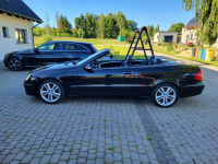 CLK 200 KOMPRESOR Avantgarde Słupsk - zdjęcie 8