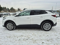 Opel Grandland X Najbogatsza wersja* Skora* Model 2019 Bydgoszcz - zdjęcie 12