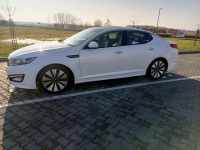 Sprzedam Kie Optime Strzelce Wielkie - zdjęcie 8