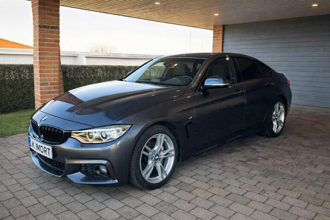 BMW 420 Sadlno - zdjęcie 2