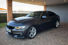 BMW 420 Sadlno - zdjęcie 2