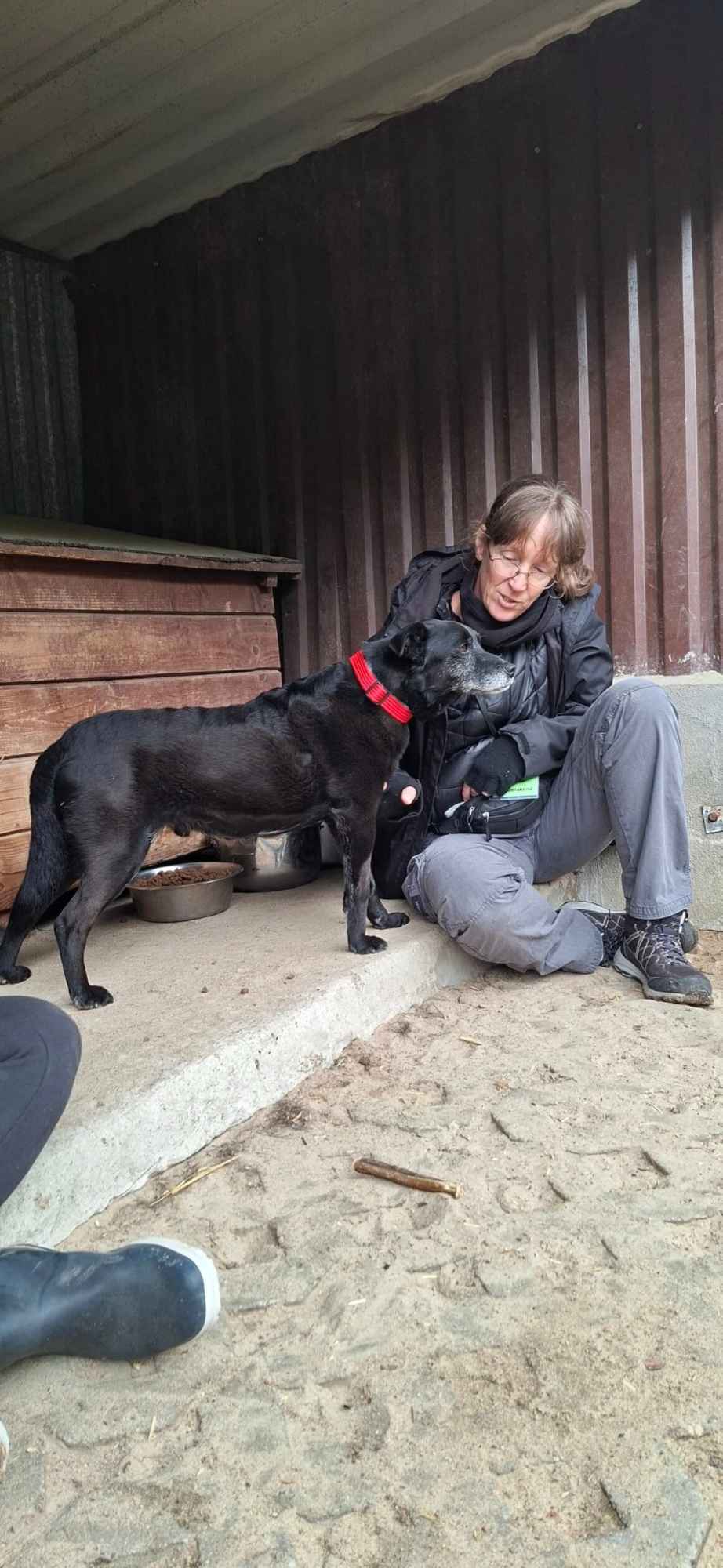 Devo i Devi, łagodne delikatne psiaki do adopcji Olsztyn - zdjęcie 2