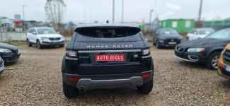 Land Rover Range Rover Evoque super stan duza navi ledy xsenon Lębork - zdjęcie 6