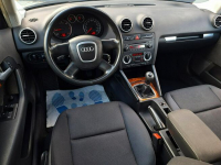 Audi A3 * 1.9TDi* czarny* 5DRZWI* bdb stan* KLIMA* alufelgi * Olsztyn - zdjęcie 5