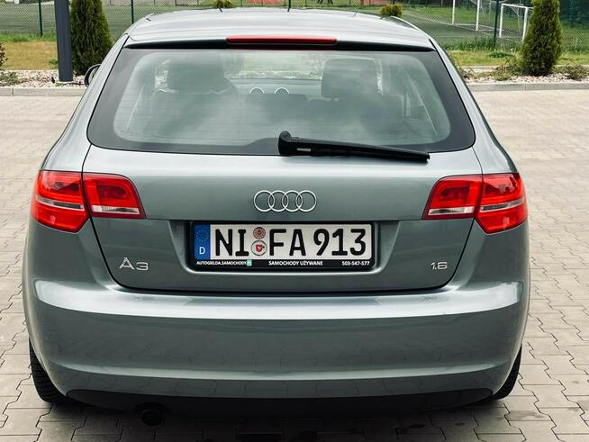 Audi A3 Serwis Zadbany Zwykły silnik MPI Nowa Wieś Rzeczna - zdjęcie 3