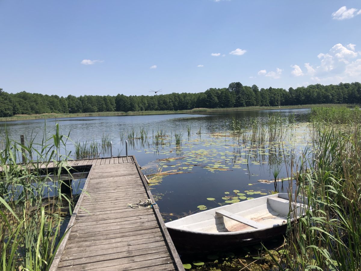 Działki budowlane / Osada Talki / Jezioro Pamerek Talki - zdjęcie 3