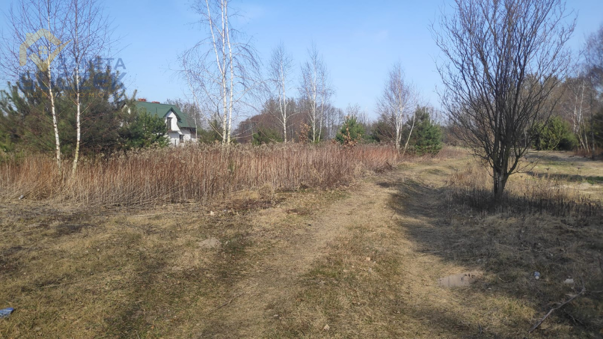 Sprzedam działki budowlano-usługowe w Lubiejewie Lubiejew - zdjęcie 2