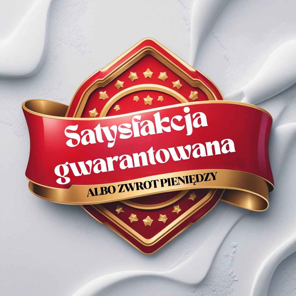 ODZYSKAJ PRAWO JAZDY – POMOC DLA OSÓB PO UTRACIE UPRAWNIEŃ Podgórze - zdjęcie 2