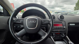 Audi A3 Climatronic   super stan nowy rozrząd Lębork - zdjęcie 9