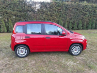 Fiat Panda 2012  1.2 69 KM benzyna,klimatyzacja, Nowy Sącz - zdjęcie 3