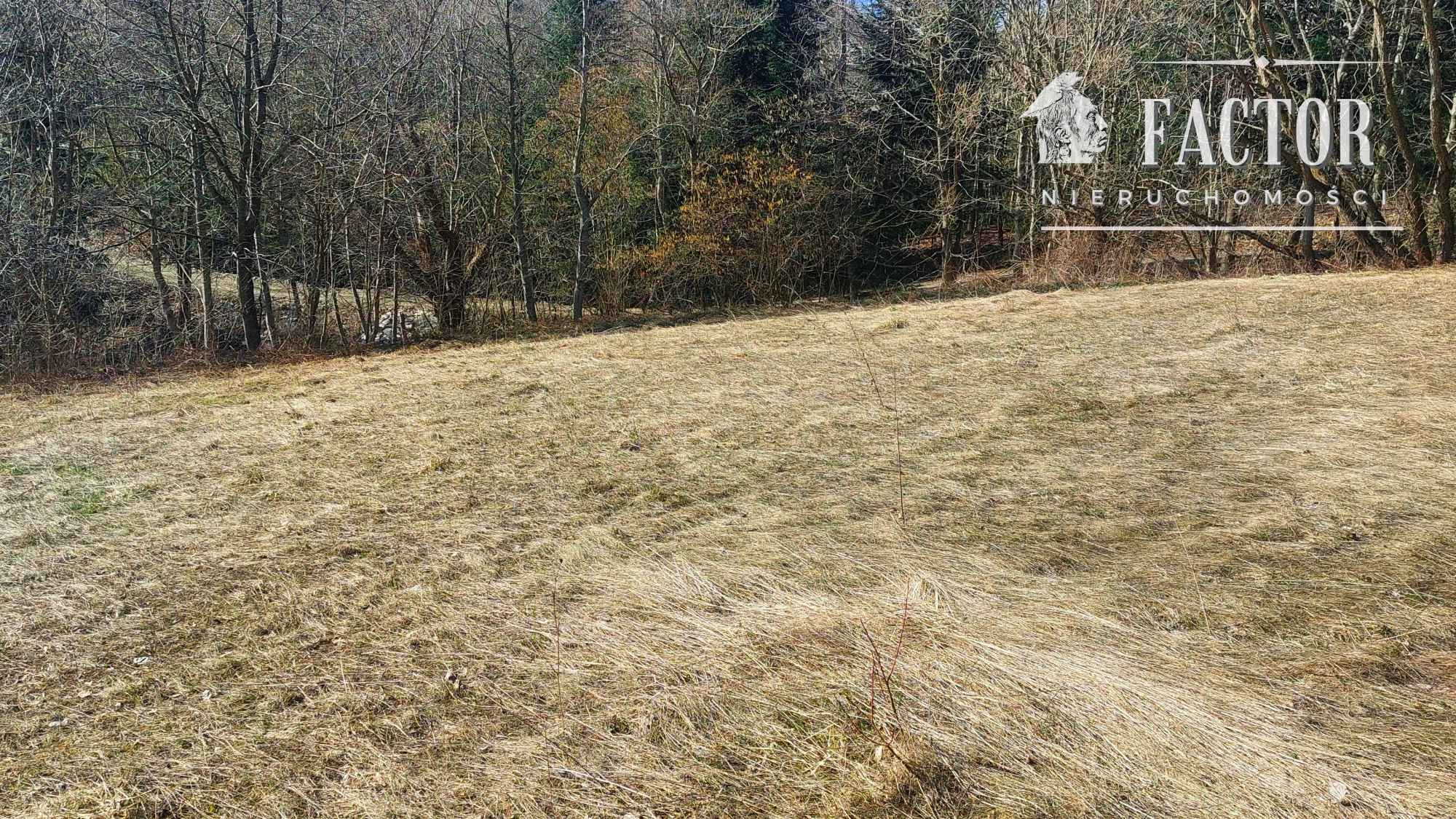 Działka budowlano-rolna 18,46 ara – Bieśnik, gm. Łużna, 1184S/2026 Bieśnik - zdjęcie 8