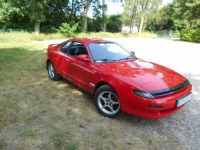 Celiica Wierzchucino - zdjęcie 6