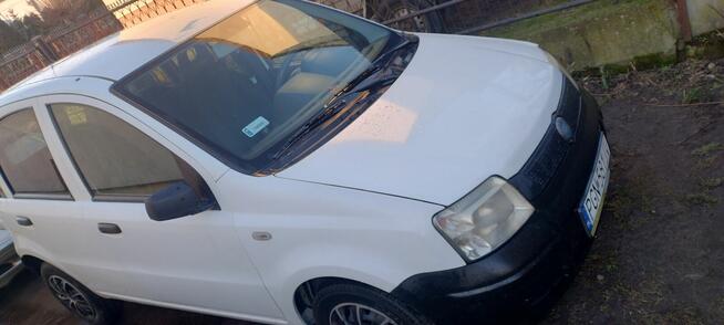 Fiat panda benzyna LPG Gniezno - zdjęcie 1