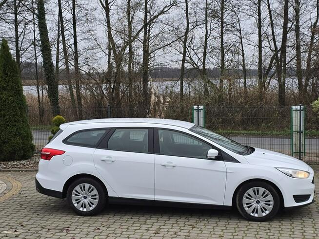 Ford Focus 1.5 TDCi 95KM / Salon PL / Serwisowany Skępe - zdjęcie 2