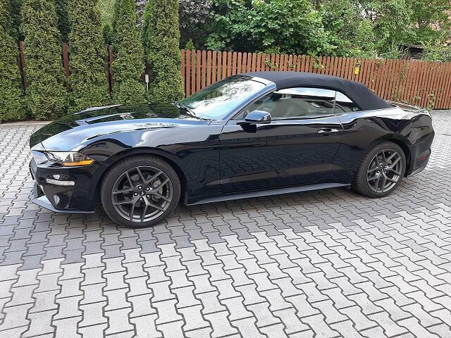 Mustang Kabriolet czarny - 7 tys !!! Fabryczna - zdjęcie 5