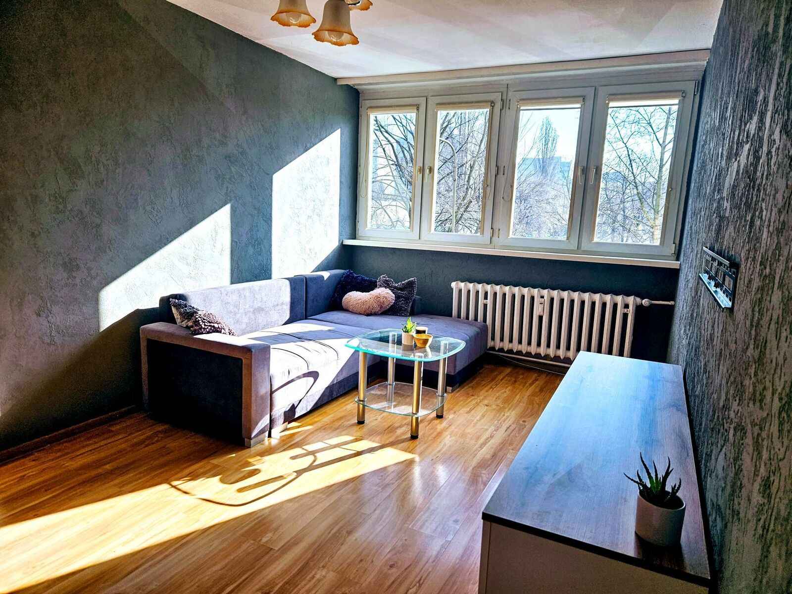 2pok, 39met, Okolice Placu Jana Pawła II PIWNICA/WINDA (Wrocław) Stare Miasto - zdjęcie 1