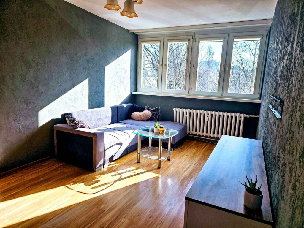 2pok, 39met, Okolice Placu Jana Pawła II PIWNICA/WINDA (Wrocław) Stare Miasto - zdjęcie 1