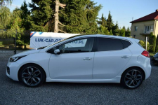 Kia Cee'd 1.6T 204KM  * Panorama * Recaro * Łuków - zdjęcie 3