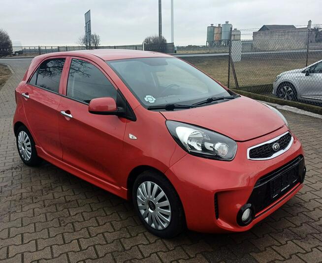 Kia Picanto Klimatronic Podgrzewane fotele Suchorzew - zdjęcie 2