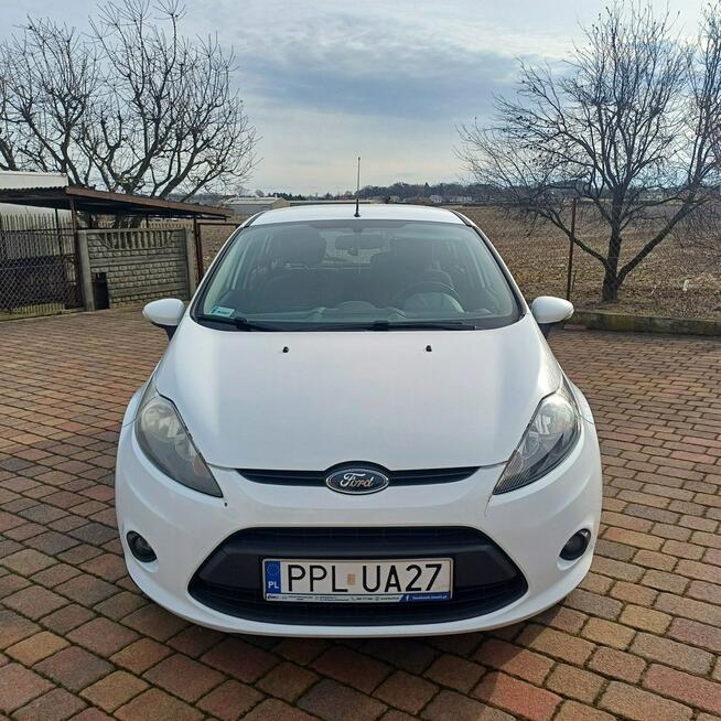Ford Fiesta Suchorzew - zdjęcie 2