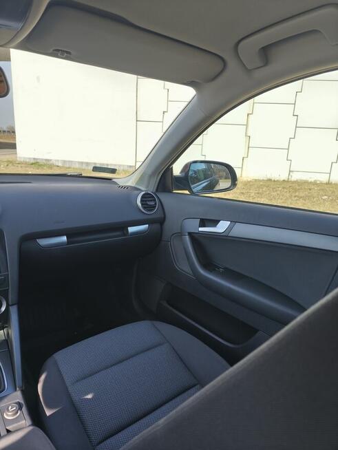 Audi A3 Sportback 1.6 Antoniew - zdjęcie 5