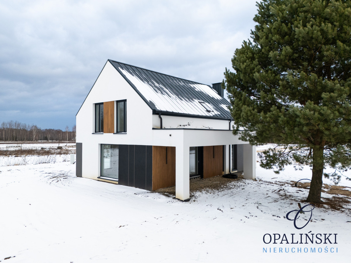 Nowoczesny | Energooszczędny | Pompa gruntowa Brzóza Królewska - zdjęcie 2