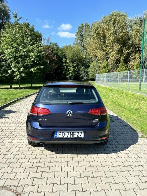 Volkswagen Golf 1.6 TDI świetny stan, brak wkładu Poznań - zdjęcie 2