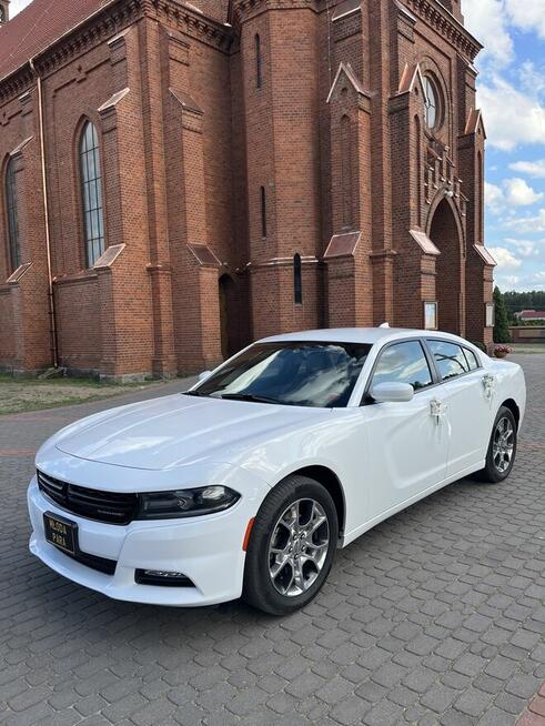 Dodge Charger samochód do ślubu Ostrołęka - zdjęcie 7