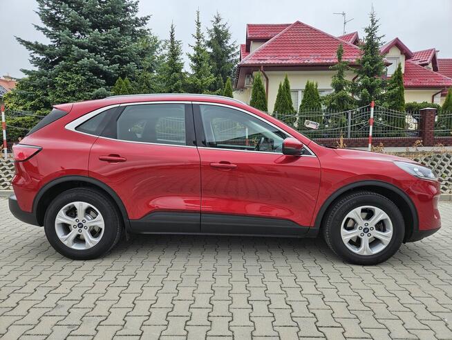 Ford Kuga III 2020, benzyna 150 KM, salon Polska, I wł. Rzeszów - zdjęcie 2