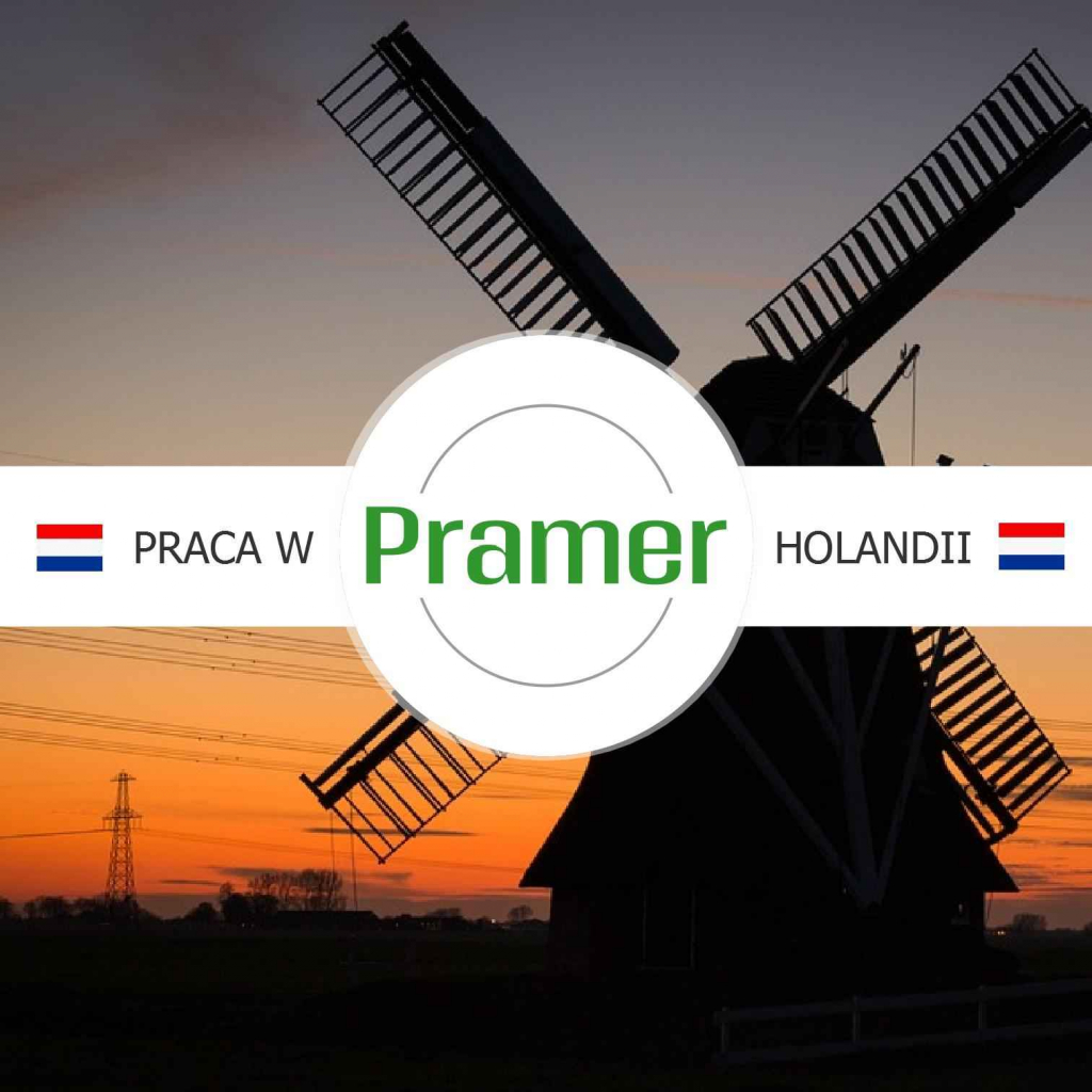 Pracownik zbierania zamówień - order picker Naborowo - zdjęcie 1