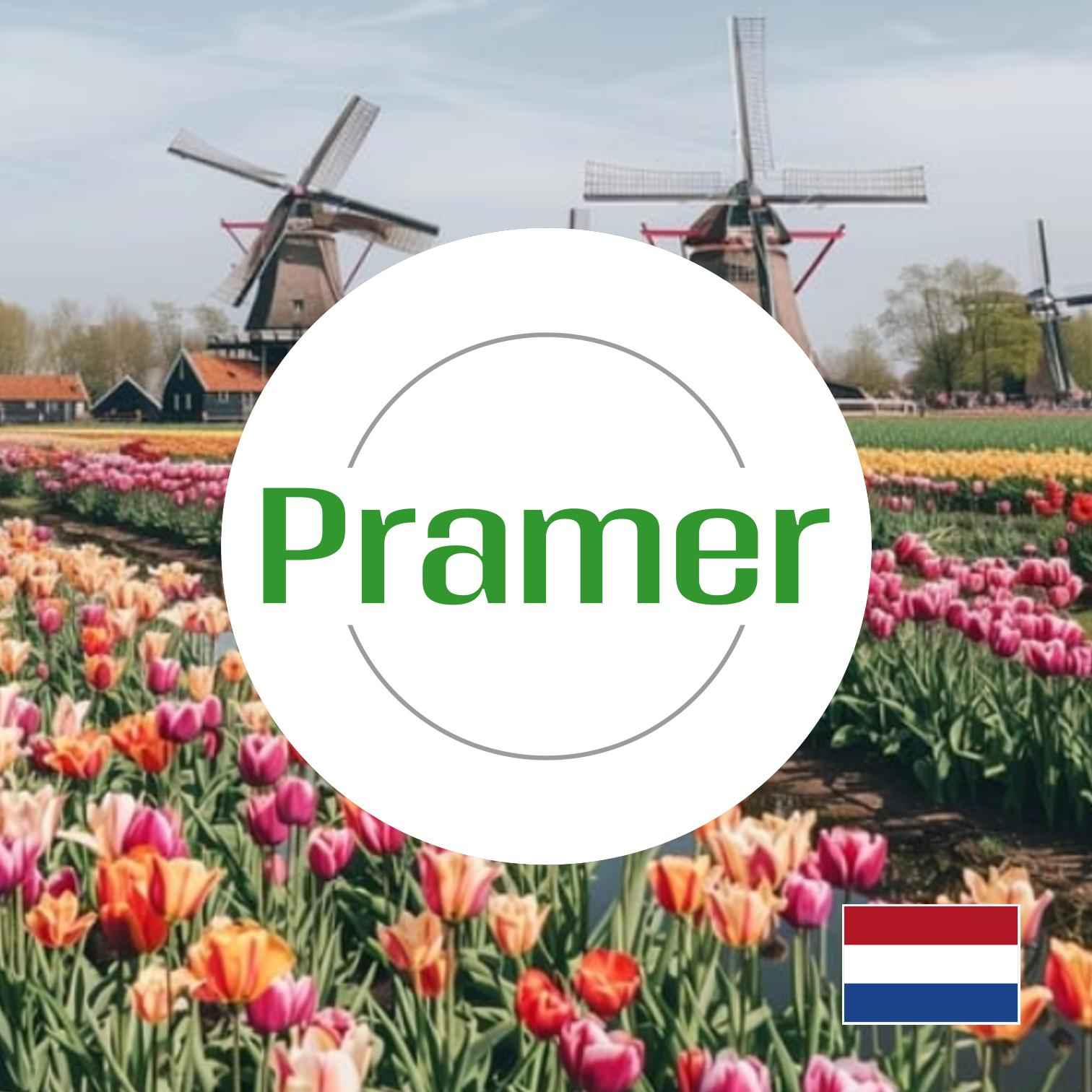 Pracownik kompletacji zamówień - Praca zmianowa 🇳🇱  - praca w Holandii Naborowo - zdjęcie 1