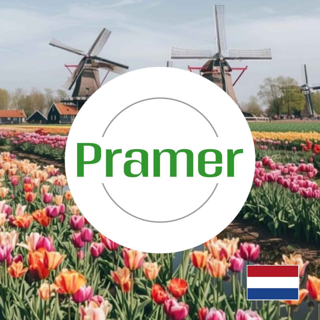 Pracownik kompletacji zamówień - Praca zmianowa 🇳🇱  - praca w Holandii Naborowo - zdjęcie 1