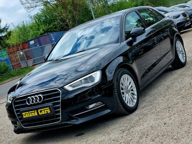 Audi A3 LED Serwis BiXenon Climatronic Tempomat Bluetooth Gwarancja! Szczecin - zdjęcie 1