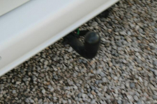 Opel Combo Life LIFE 1.5Cdti ENJOY Gwarancja Warszawa - zdjęcie 12