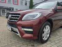 Mercedes ML 350 4Matic Ostrołęka - zdjęcie 10