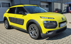 C4 Cactus  - Bezwypadkowy - Polska - Nawigacja Studzienice - zdjęcie 3