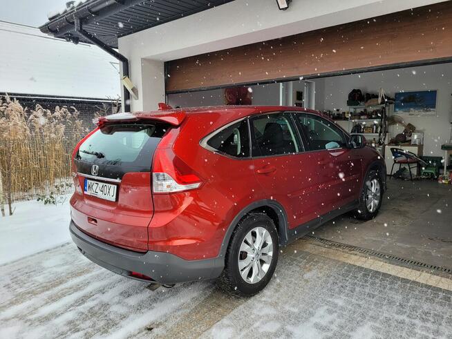 SPRZEDAM Pionki - zdjęcie 1