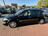 Renault Megane Automat, Klima Sade Budy - zdjęcie 9