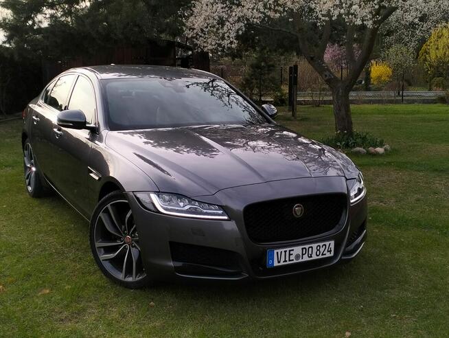 Jaguar Xf 2.D 2016r Radom - zdjęcie 3