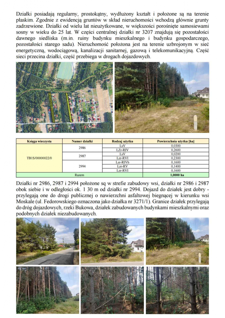 Syndyk sprzeda udziały w grunatach Jastkowice - Stalowa Wola Pisz - zdjęcie 3